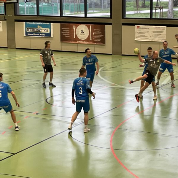 SG Heidelberg-Leimen 2 – TSG Wiesloch 2 29:29