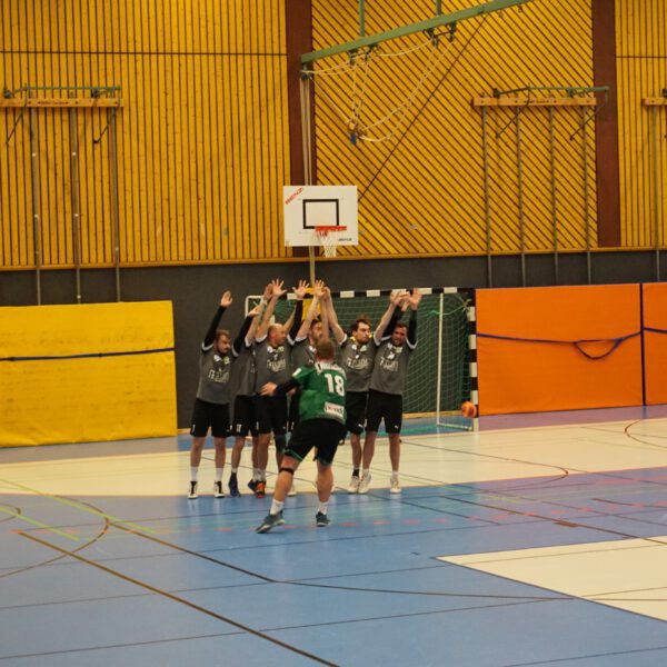 SG Heidelberg-Leimen – TG Laudenbach 33:33 (16:16)